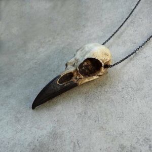 Collier Gothique Crâne de Corbeau – Pendentif Fantastique